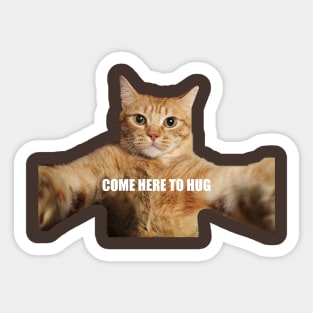 Funny red cat extends his paws for a hug meme Sticker